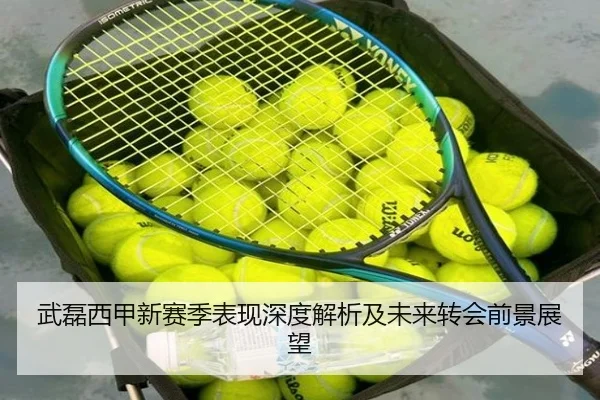武磊西甲新赛季表现深度解析及未来转会前景展望